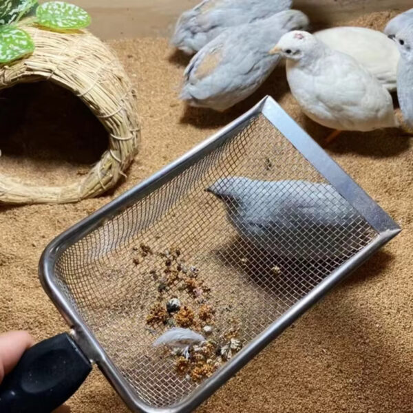 Stainless Steel Sand Metal Shovel Sifter Fine Mesh Terrarium Substrate Cleaner Corner Sifter Cleaner - Image 4